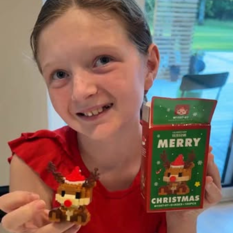 🎅 Santa Building Blocks™ – 12 creative Christmas figures for the whole family. 🎄